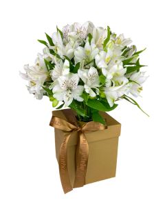 BUQUÊ DE ALSTROEMÉRIA BRANCO AURORA III