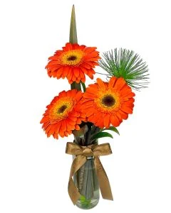 TRIO GÉRBERAS ALARANJADAS BEATRICE I