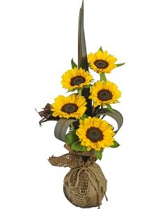 ARRANJO GIRASSOL BENÊ