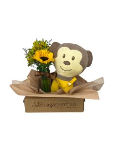 COMBO MATERNIDADE FLORES + MACACO AMIGUINHO DA FLORESTA MACACÃO AMARELO