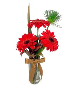 TRIO GÉRBERAS VERMELHAS BEATRICE III