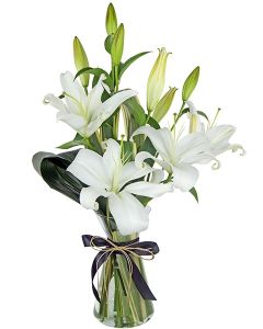 LÍRIO BRANCO MAITÊ