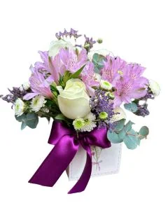 MINI BOX LILAS E BRANCO VIOLETTE