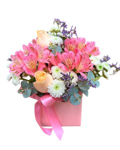 MINI BOX ROSA E BRANCO ELISHA