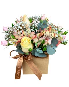 MINI BOX TONS PASTEL ALISSA