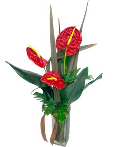 TRIO DE ANTÚRIOS VERMELHOS ROBERTO