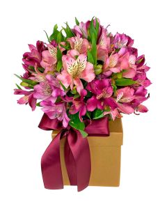BUQUÊ DE ALSTROEMÉRIA MIX ROSA PINK BORDÔ AURORA IV