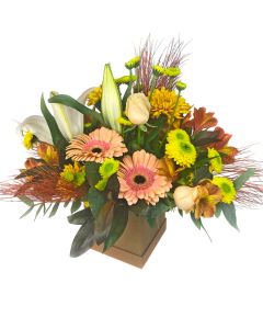 BOX MIX FLORES COLORIDAS ARLENE