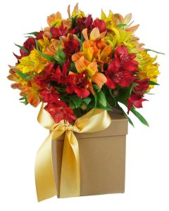 BUQUÊ DE ALSTROEMÉRIA MIX  AMARELO ALARANJADO VERMELHO AURORA I