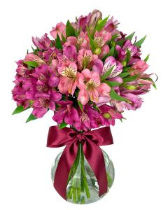 BUQUÊ DE ALSTROEMÉRIA ROSA, PINK, BORDÔ CÉLIA
