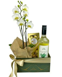 COMBO CAIO ORQUÍDEA + VINHO + CHOCOLATE FERRERO ROCHER