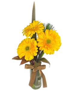 TRIO GÉRBERAS AMARELAS BEATRICE II