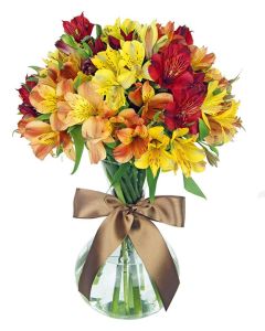 BUQUÊ DE ALSTROEMÉRIA MIX CORES CÉLIA