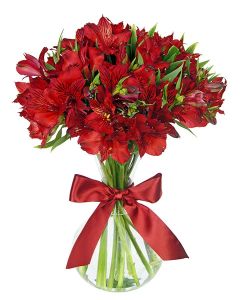 BUQUÊ DE ALSTROEMÉRIA VERMELHA CÉLIA