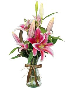 LÍRIO COR-DE-ROSA MAITÊ