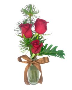 TRIO DE ROSAS VERMELHAS SERAFINE