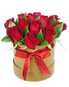 BOX ROSA VERMELHA MOEMA