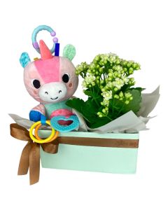 COMBO MAXIMUS UNICÓRNIO PELÚCIA & CALANDIVA